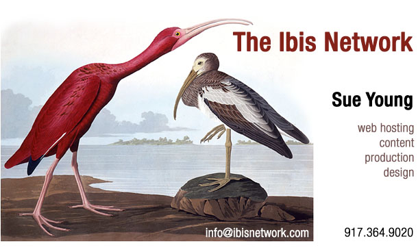 The Ibis Network